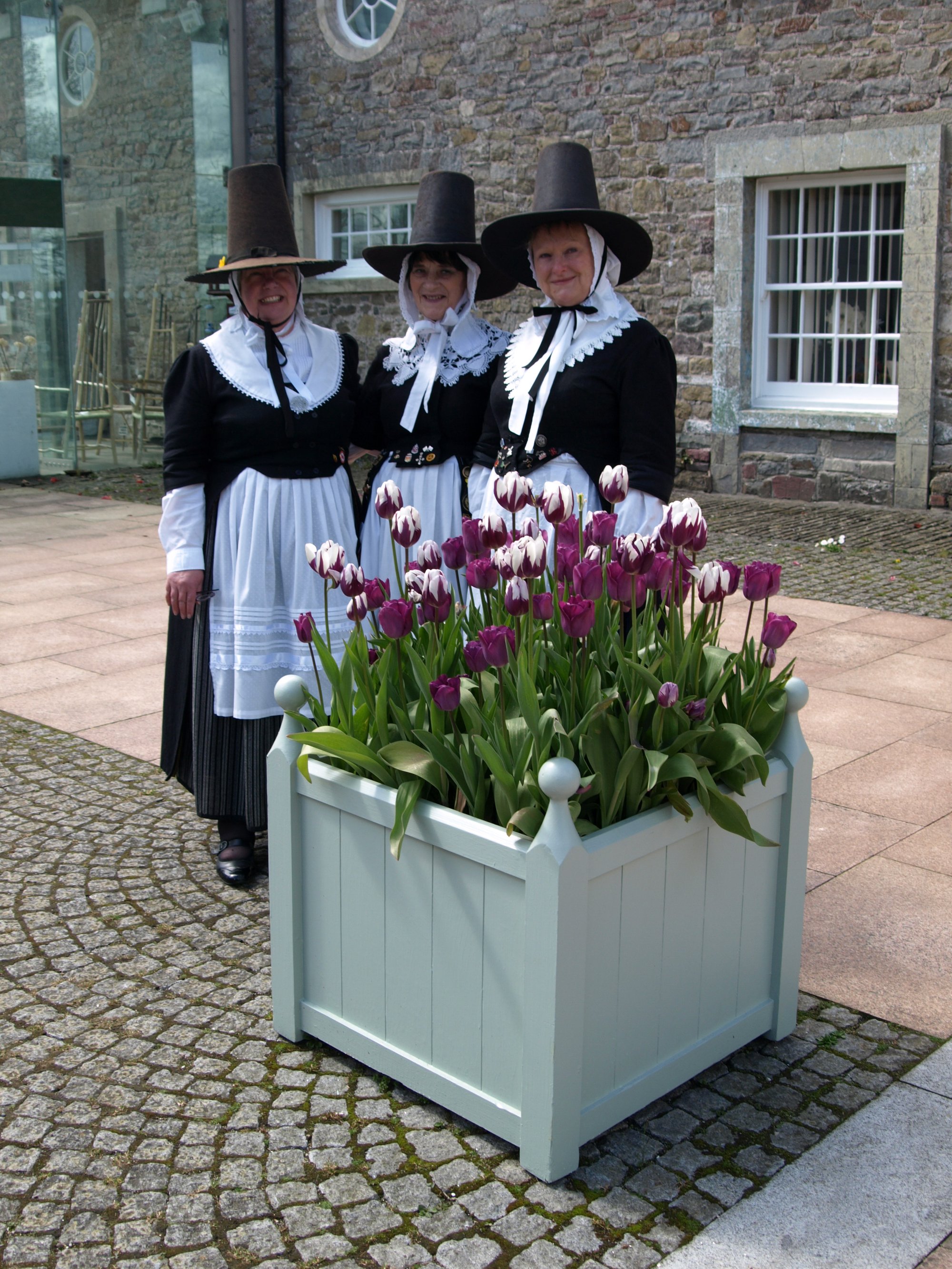 Welsh Ladies