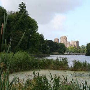 Castle over the Mill Pond
